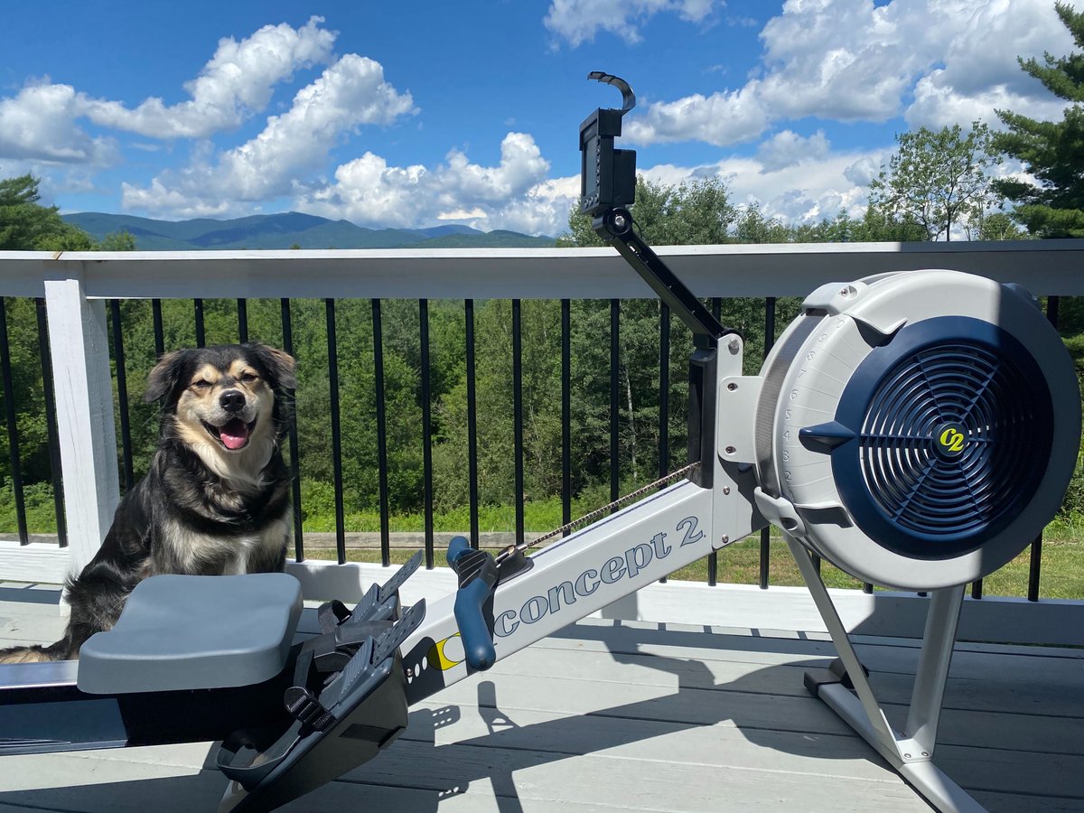 concept2's tweet image. We have entered Week 2 of the Dog Days of Summer Challenge! Accumulate 20,000 meters this week, and be ready for 30,000 meters next week! Anyone finish all 20K in 2 days like Ghost did?  

#Concept2 #C2Challenge