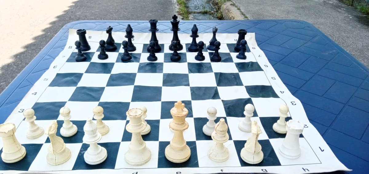 De nuevo con las clases teóricas y prácticas de ajedrez.