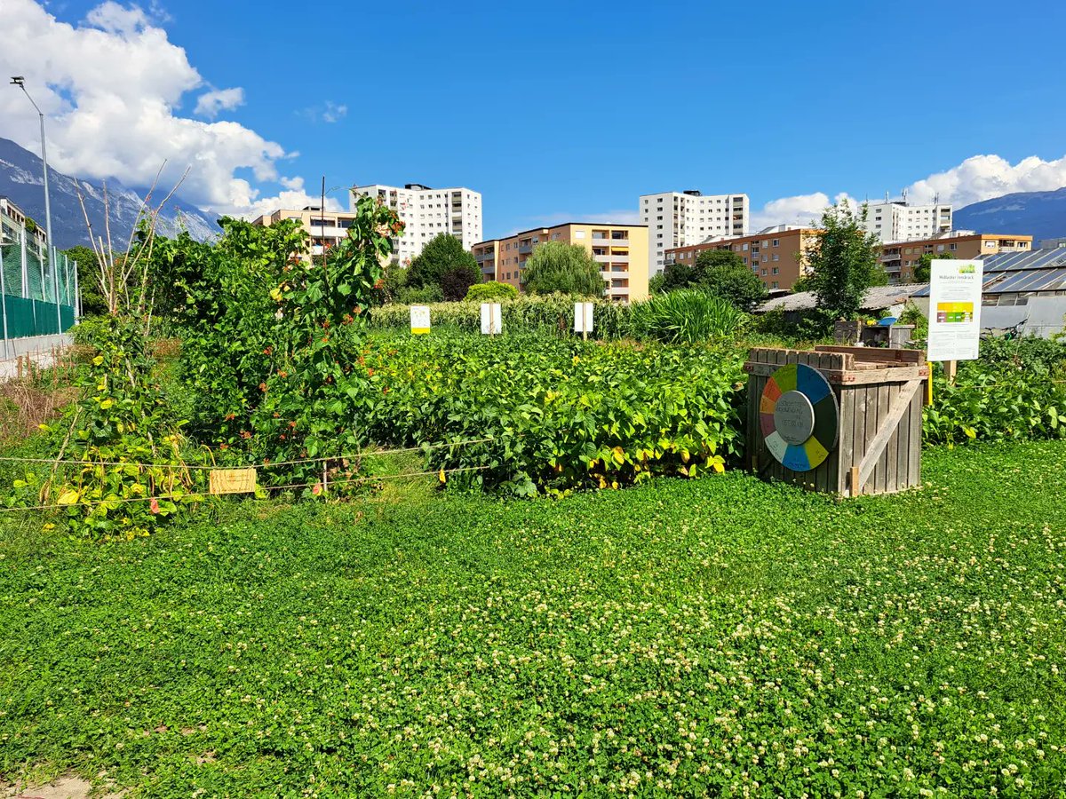 Weltackernbg's tweet photo. Gestern bei bestem Wetter & einer wundervollen Landschaft, haben wir den Weltacker in Innsbruck @feldschafft besuchen dürfen.
Danke, für den Input & die erste Saatgutspende für den Nürnberg
#Weltacker #weltackernuernberg #2000qm #2000m2 #feldschafft #innsbruck #partneracker https://t.co/fuBpR9wWVY