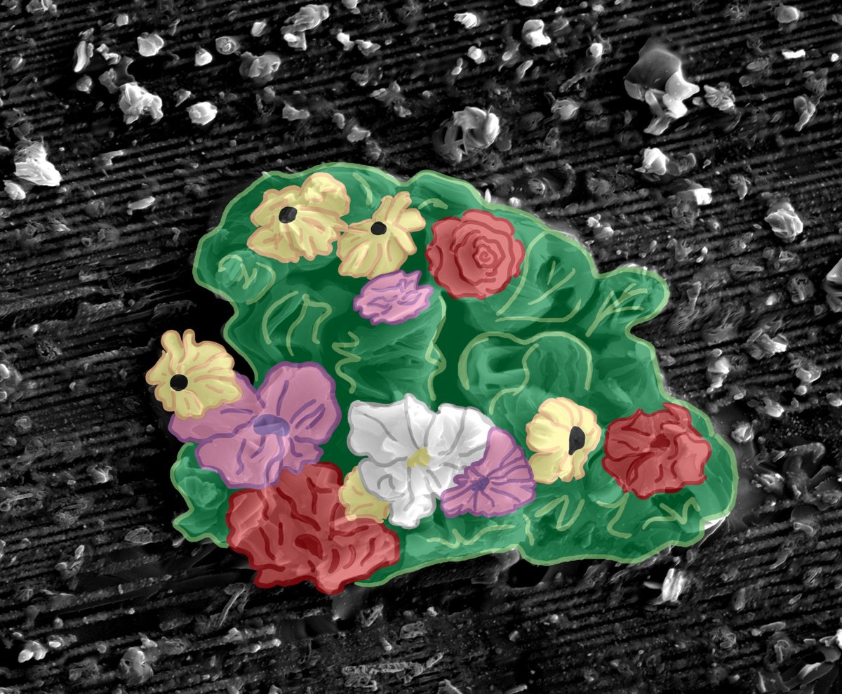 Texplained_RE's tweet image. Blooming flowers or oxydation on our chip ?
If you can&apos;t maintain  vacuum where you store your chip then don&apos;t forget to deposit a fairly thick layer of metal.
#TexplainedTT  #ICReverseEngineering