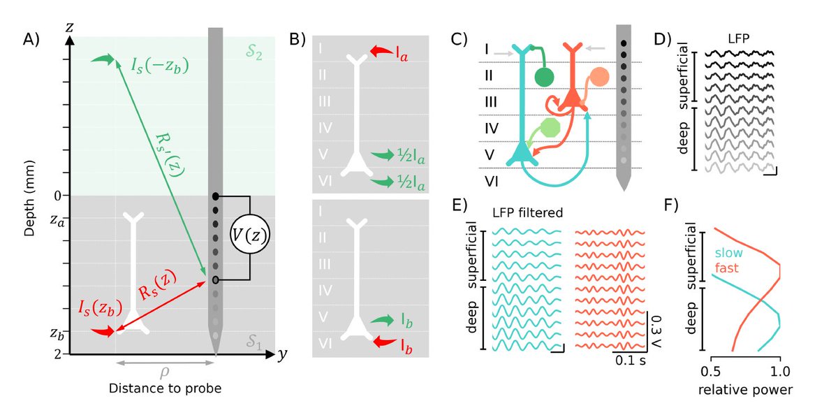 Emiliano Santarnecchi (@esantarnecchi) on Twitter photo New work bridging the gap between alpha- and gamma-centric physical neural mass models, with implications for understanding altered oscillatory #EEG activity in dementia and Alzheimer's disease.
<a href="/MillerLabMIT/">Earl K. Miller</a> <a href="/ruffini/">Giulio Ruffini</a> <a href="/ne_sanchez_todo/">Roser Sanchez-Todo</a> <a href="/MGHGordon/">Gordon Center for Medical Imaging</a> biorxiv.org/content/10.110⦠New work bridging the gap between alpha- and gamma-centric physical neural mass models, with implications for understanding altered oscillatory #EEG activity in dementia and Alzheimer's disease.
<a href="/MillerLabMIT/">Earl K. Miller</a> <a href="/ruffini/">Giulio Ruffini</a> <a href="/ne_sanchez_todo/">Roser Sanchez-Todo</a> <a href="/MGHGordon/">Gordon Center for Medical Imaging</a> biorxiv.org/content/10.110ā¦