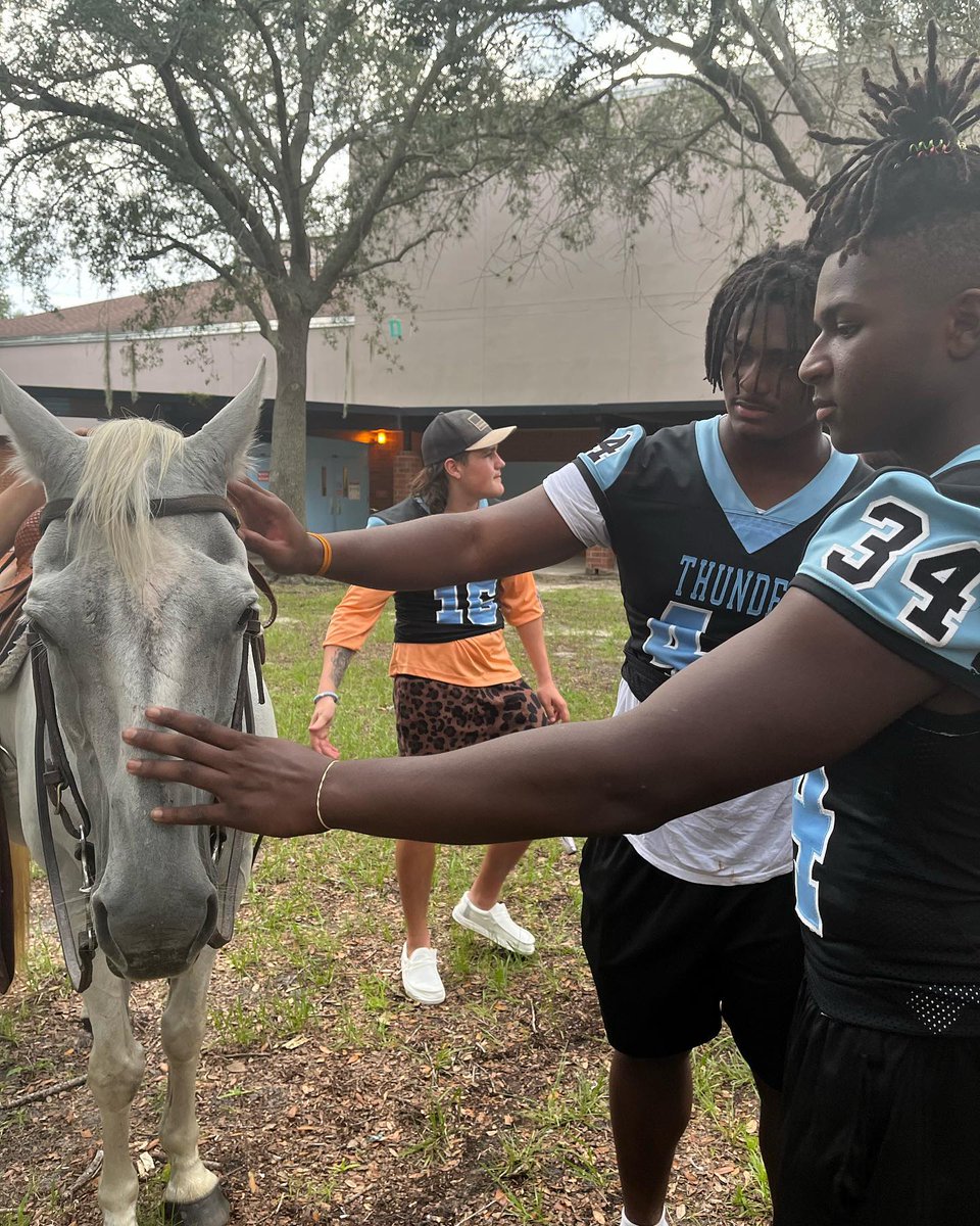 Lake Region High hasn't had a live mascot in years. But thanks to a LRHS grad, the Thunder is back. facebook.com/polkcountypubl… 🐎⛈️ #lovePolkschools