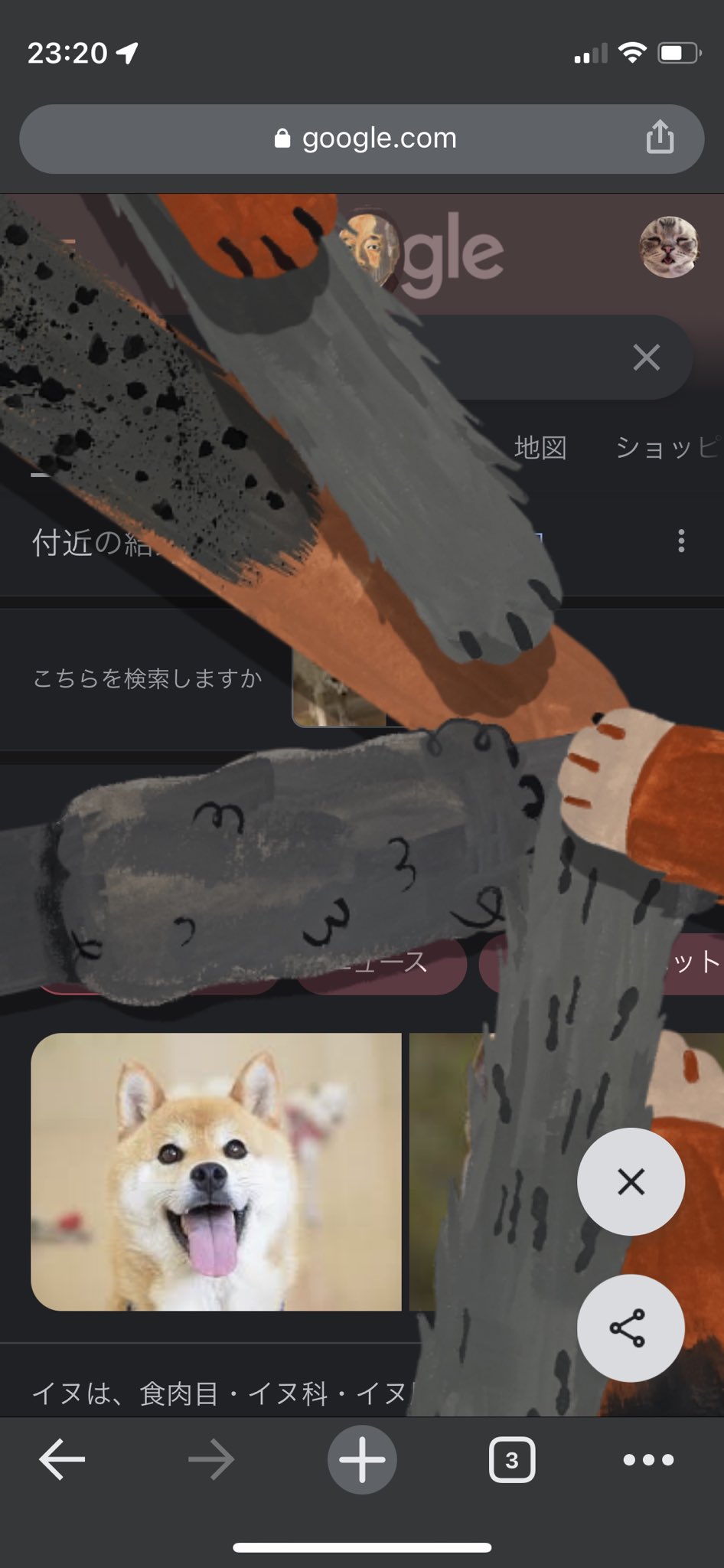 てらりゅ Teraryu06 Twitter