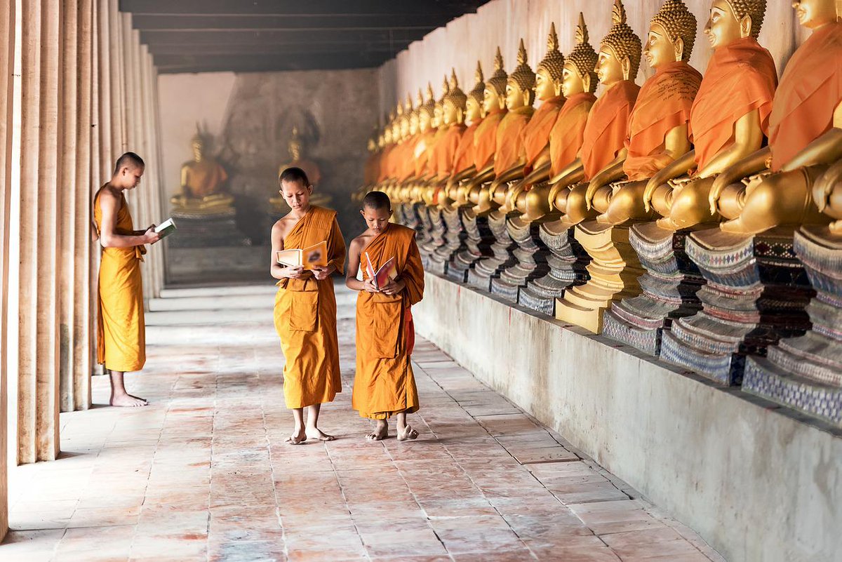 luxworldyoga's tweet photo. SAVE $500 pp on Women's #Thailand Spiritual Immersion Tour > Nov. 10-22, 22.   Temple Tours, Monk Chats, #Elephant Sanctuary, Ayurvedic #Spa Treatments.  Details > https://t.co/1Edg2jwWLi

#TravelTuesday #spiritualjourney #wellnessjourney https://t.co/2Gu3yL2RfK
