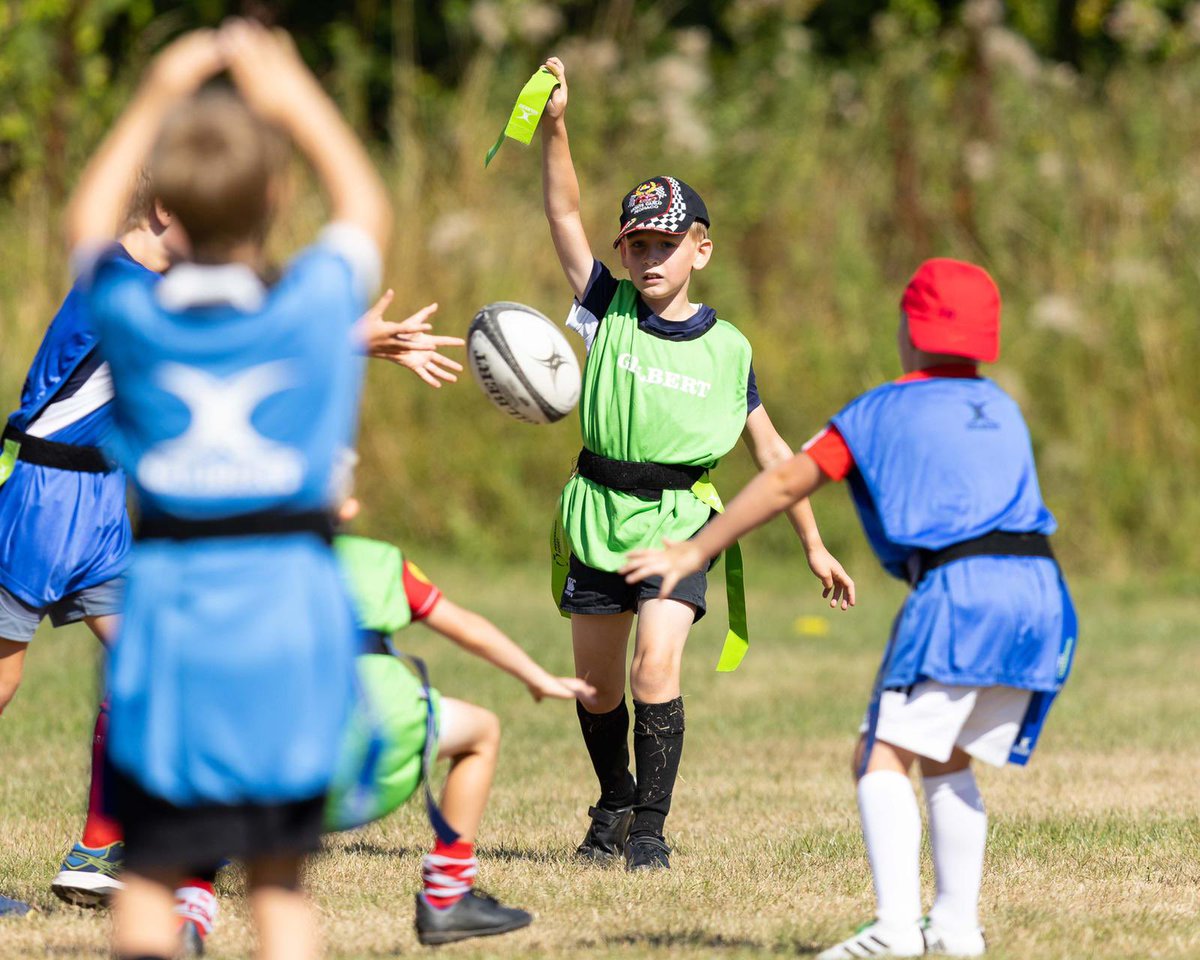 Wasps Community tweet media