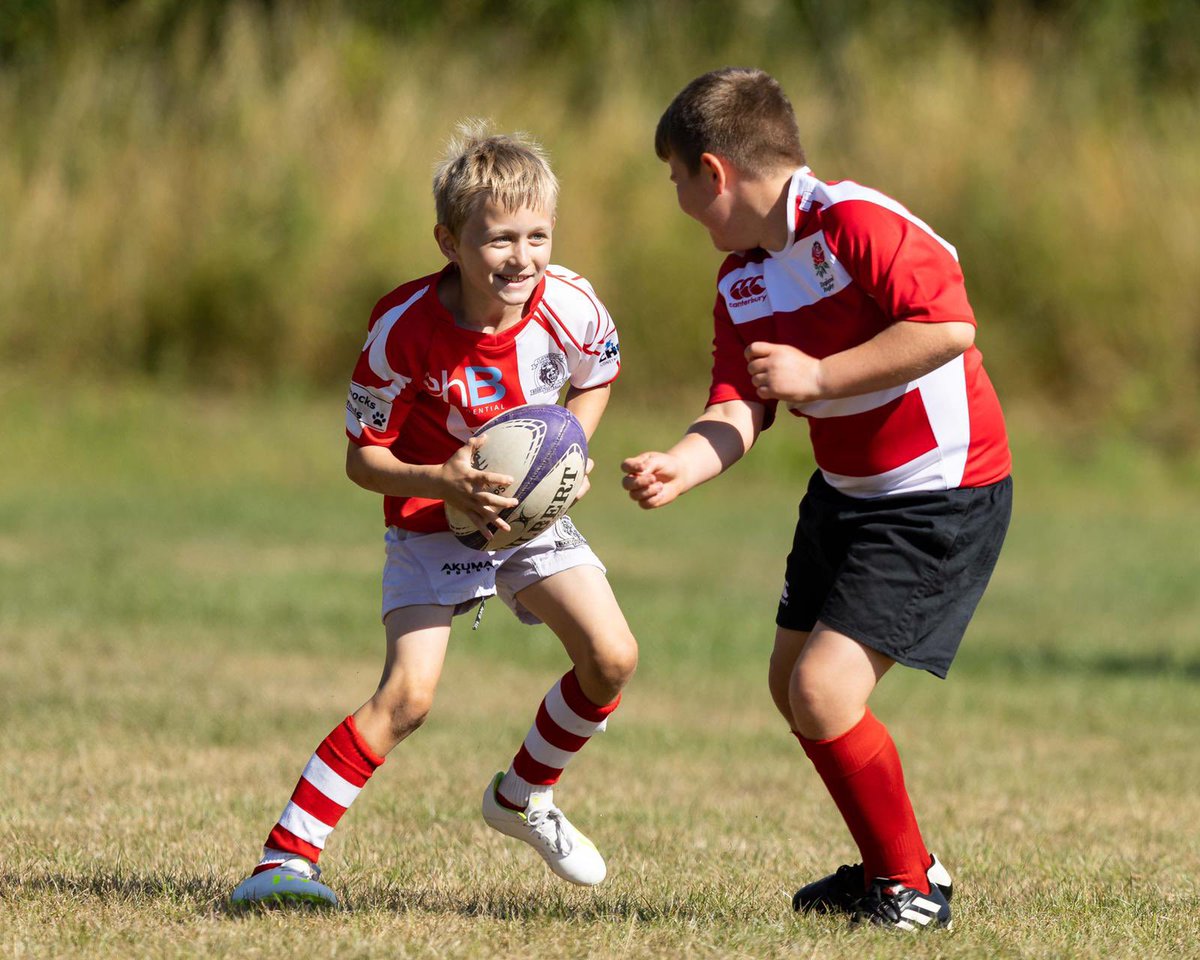 Wasps Community tweet media