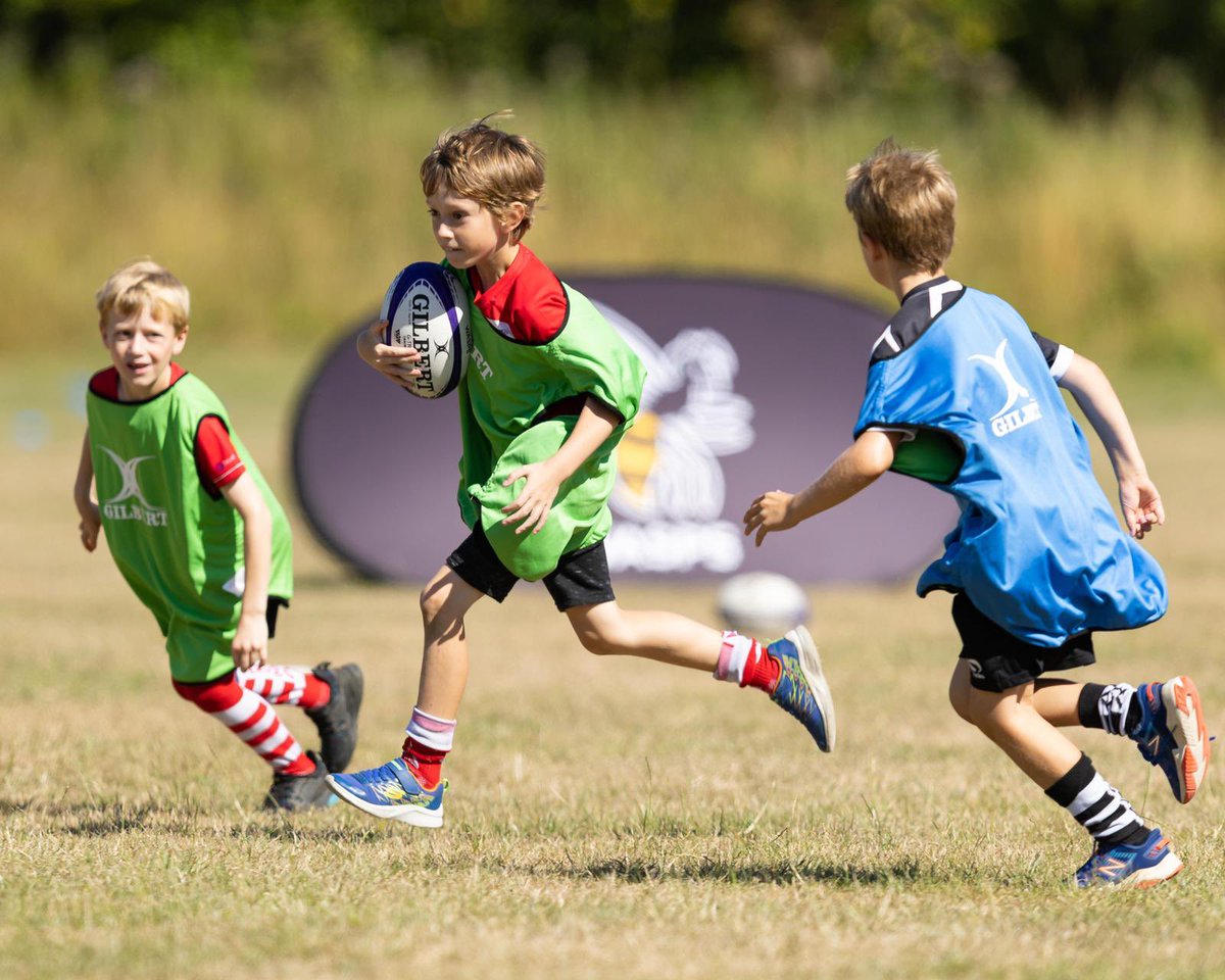 Wasps Community tweet media