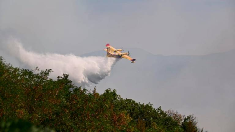 vlastabernard's tweet photo. L'unica salvezza per le zone difficilmente accessibili.
#incendi #Trieste #SanServolo #Prebenico #Ospo https://t.co/avlFd5kDdl