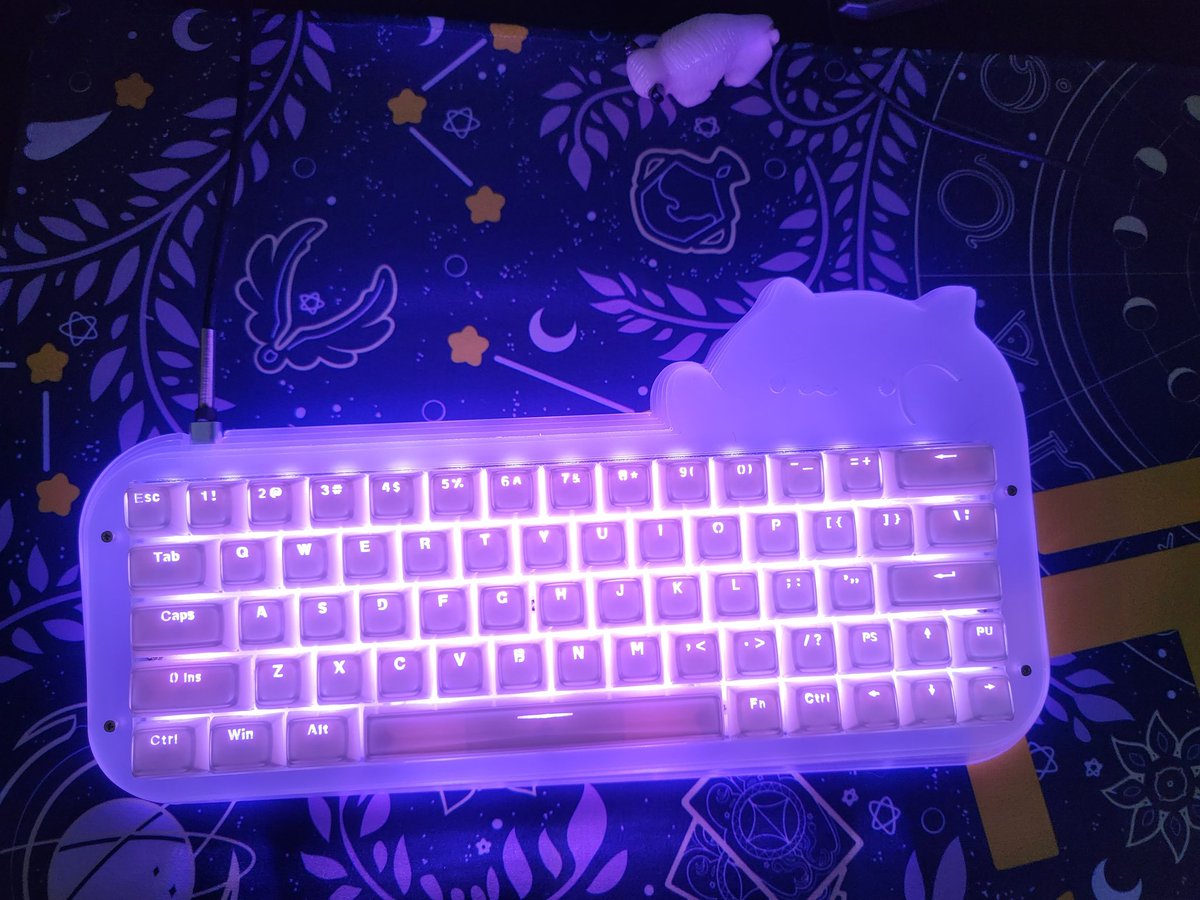 Finally got to put my new keyboard together 🥺
