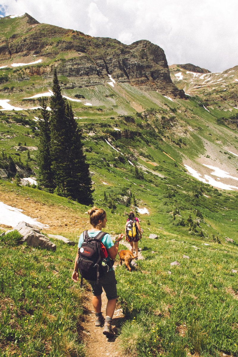 holidayfoxuk's tweet photo. Avid hikers!🌄

What are hiking essentials you think every hiker should have? Leave your favourites below!⬇️🥾

#hikers #hikingtips #protips #hike #hikingessentials #wanderlust #FYP #Tips https://t.co/WcuBoHkPKi