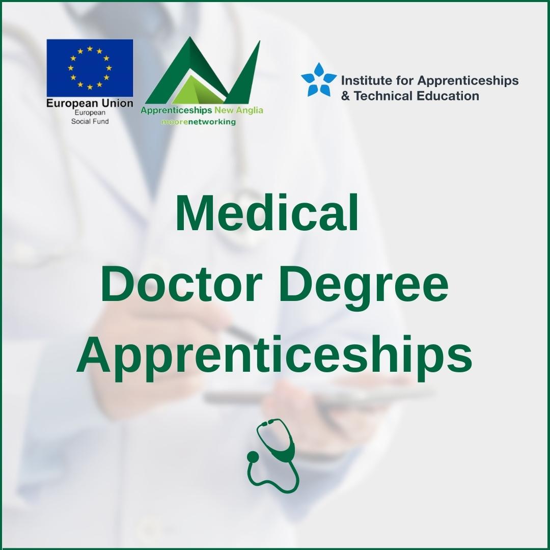 Apprenticeships New Anglia tweet media