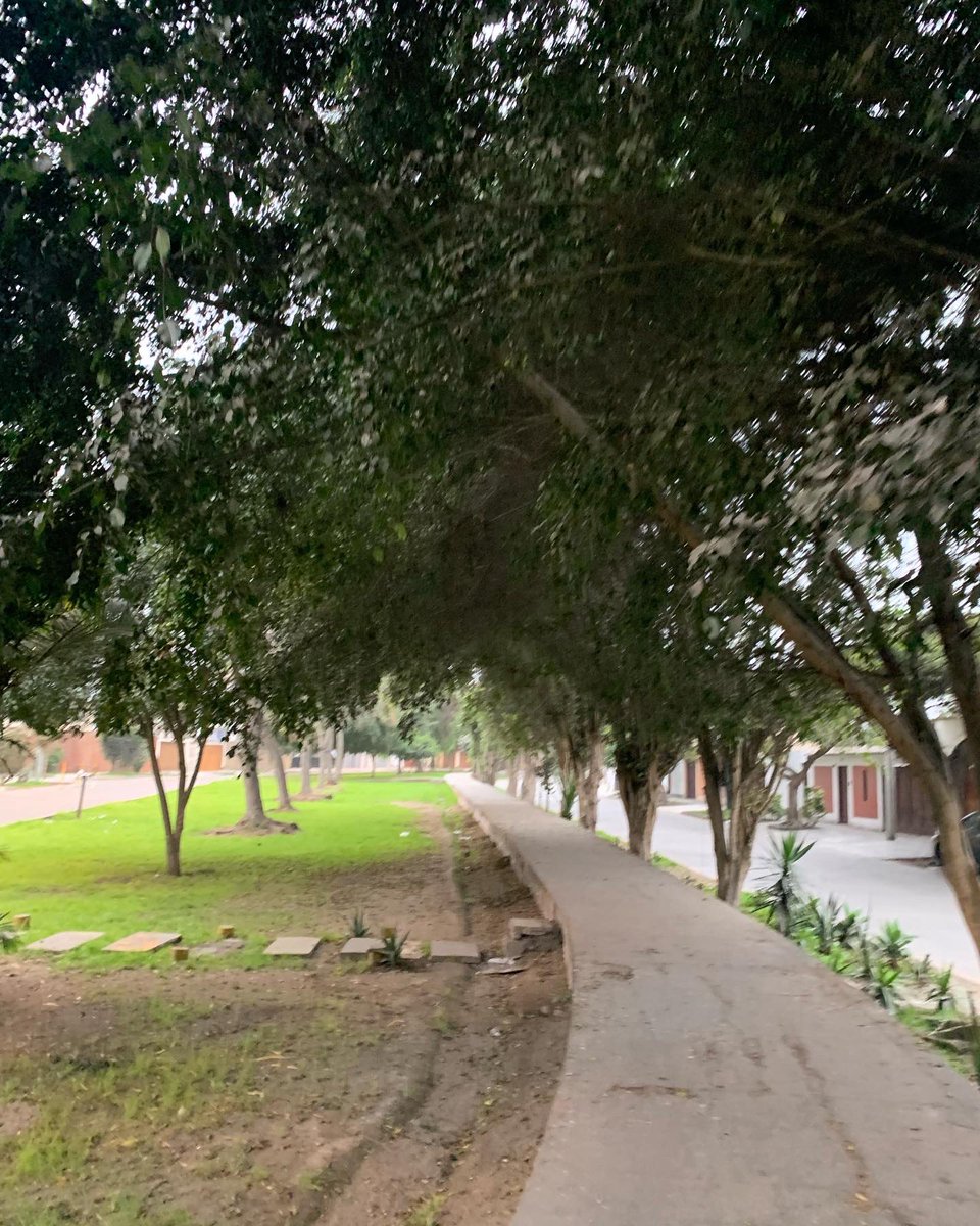 Chis500's tweet photo. Dicen que después de la tormenta llega la calma. Aunque mi calma no está completa, creo que vamos por buen camino. https://t.co/jzefqnWwlB