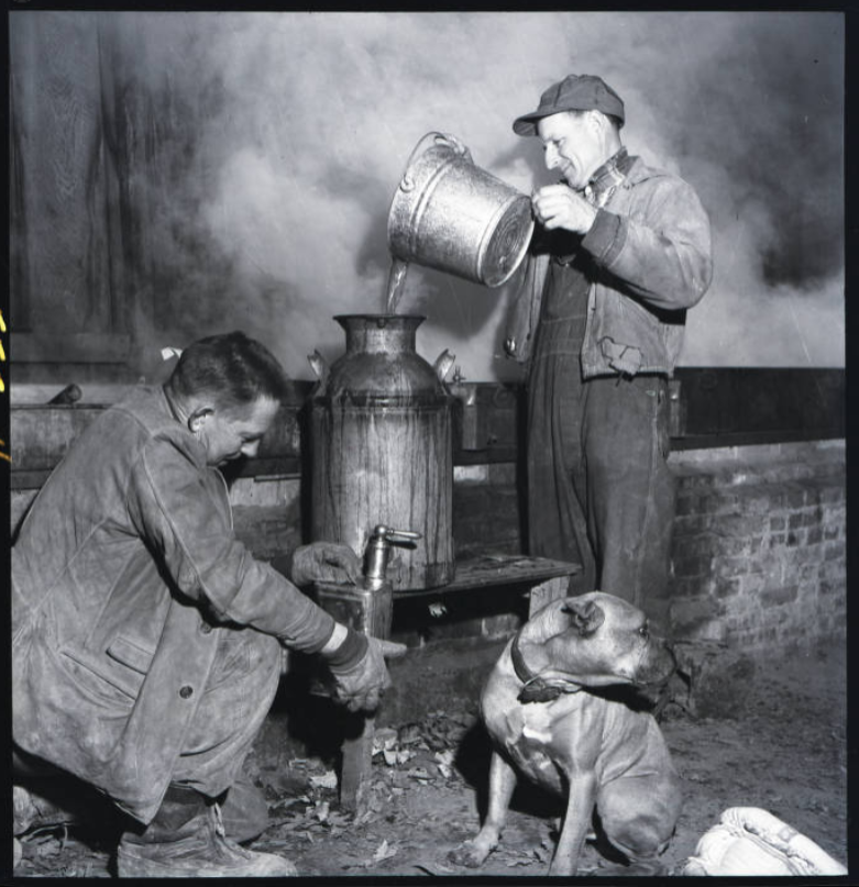 Ohio Digital Network tweet media