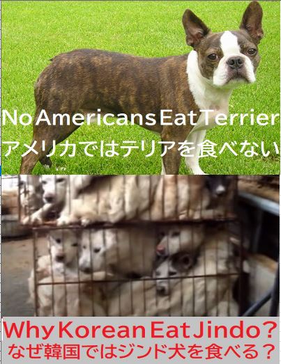 Tweets With Replies By Kokumo Obwandiyag Twitter