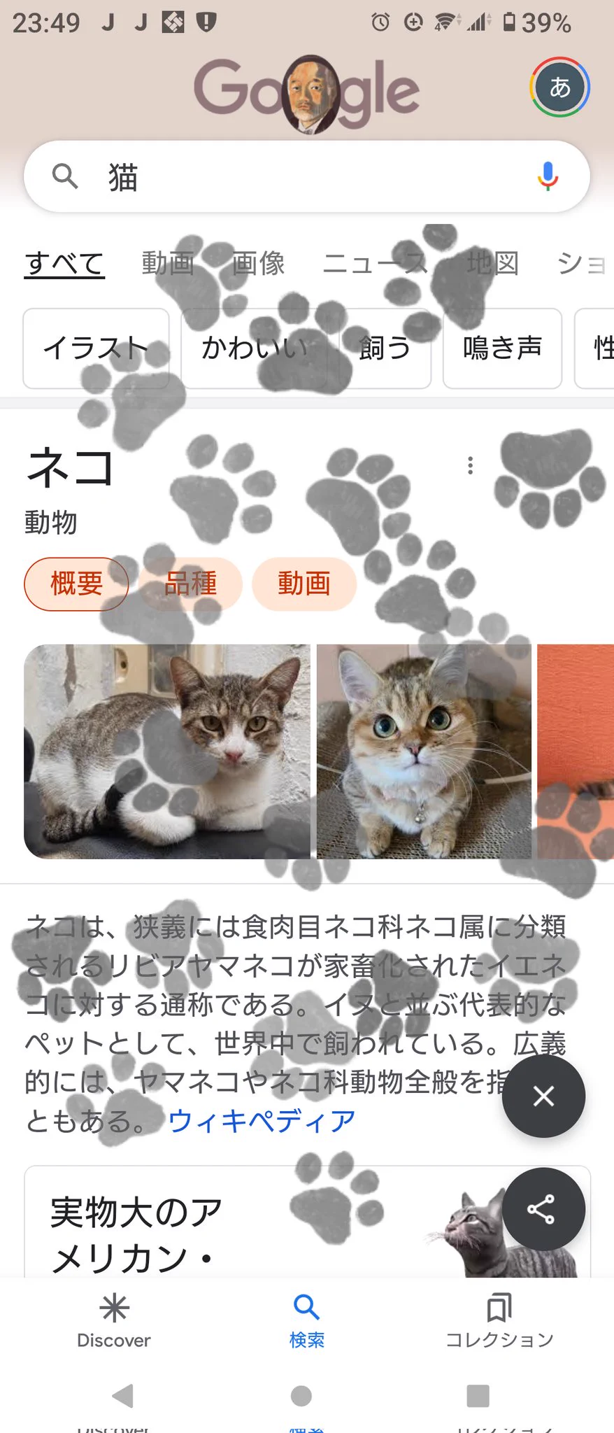 @NekoG_staff 可愛い 