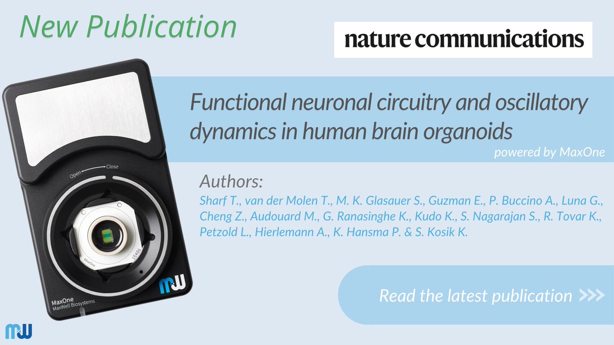 mxwbio's tweet photo. Congrats @tal_sharf @KosikLab &amp; all authors on their latest publication in @NatureComms using our #MaxOne system to showcase the role brain organoids play in the study of neuropsychiatric diseases &amp; the effects of external stimuli upon #neuronalnetworks➡️https://t.co/9lWO9LdNVF https://t.co/9DPUHrBFn3