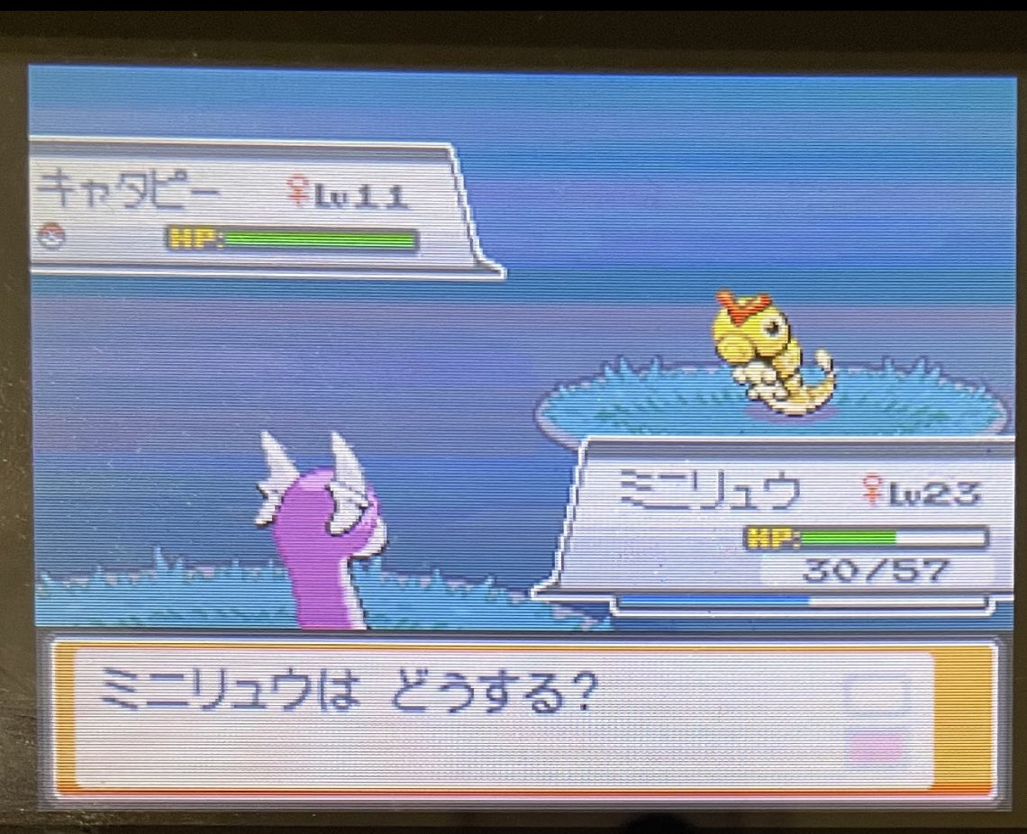 ショウザ238 Shouza238 Twitter