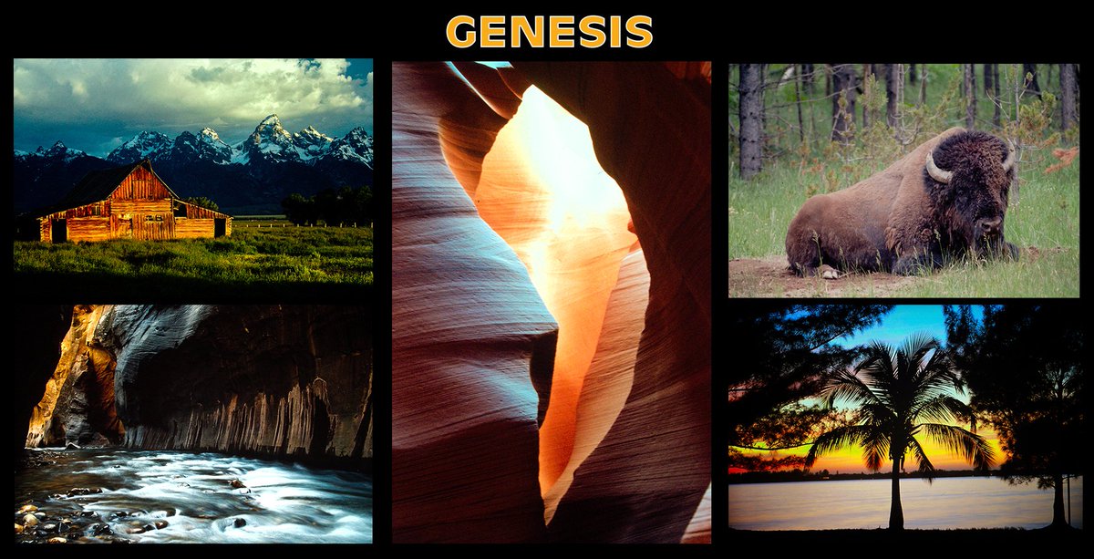 ewNFTs's tweet photo. @MaryanneChisho2 My first photography collection - was converted from Slide Film shot between 1990 and 2001.

"Genesis" on OpenSea
.07 $ETH 💎

https://t.co/mHIJw7CdBv https://t.co/qm9p59QBEo