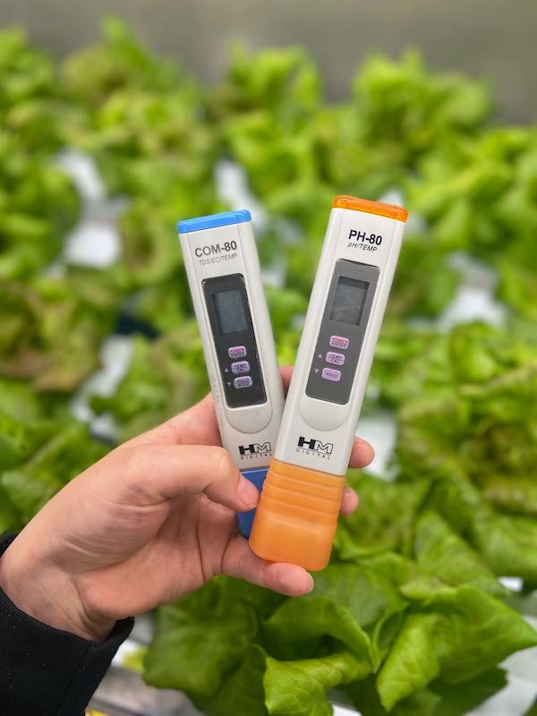 'Spending hours in a container filled with plants you’ve grown from seed doesn't always feel like work.' Read to reveal what spinach look likes week to week (spoiler alert: it grows fast!) and daily tasks that keep plants happy: hubs.ly/Q01jlsct0 #CEA #hydroponics