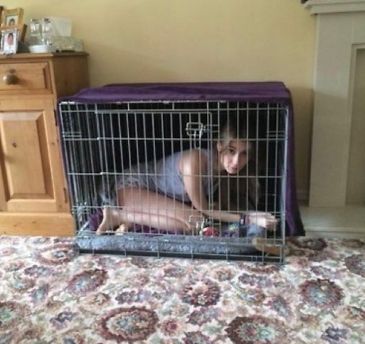 DADABOYFRIEND's tweet photo. Pretty cages for pretty pets. -Ketamine. https://t.co/Tn1c0Qy2Lp