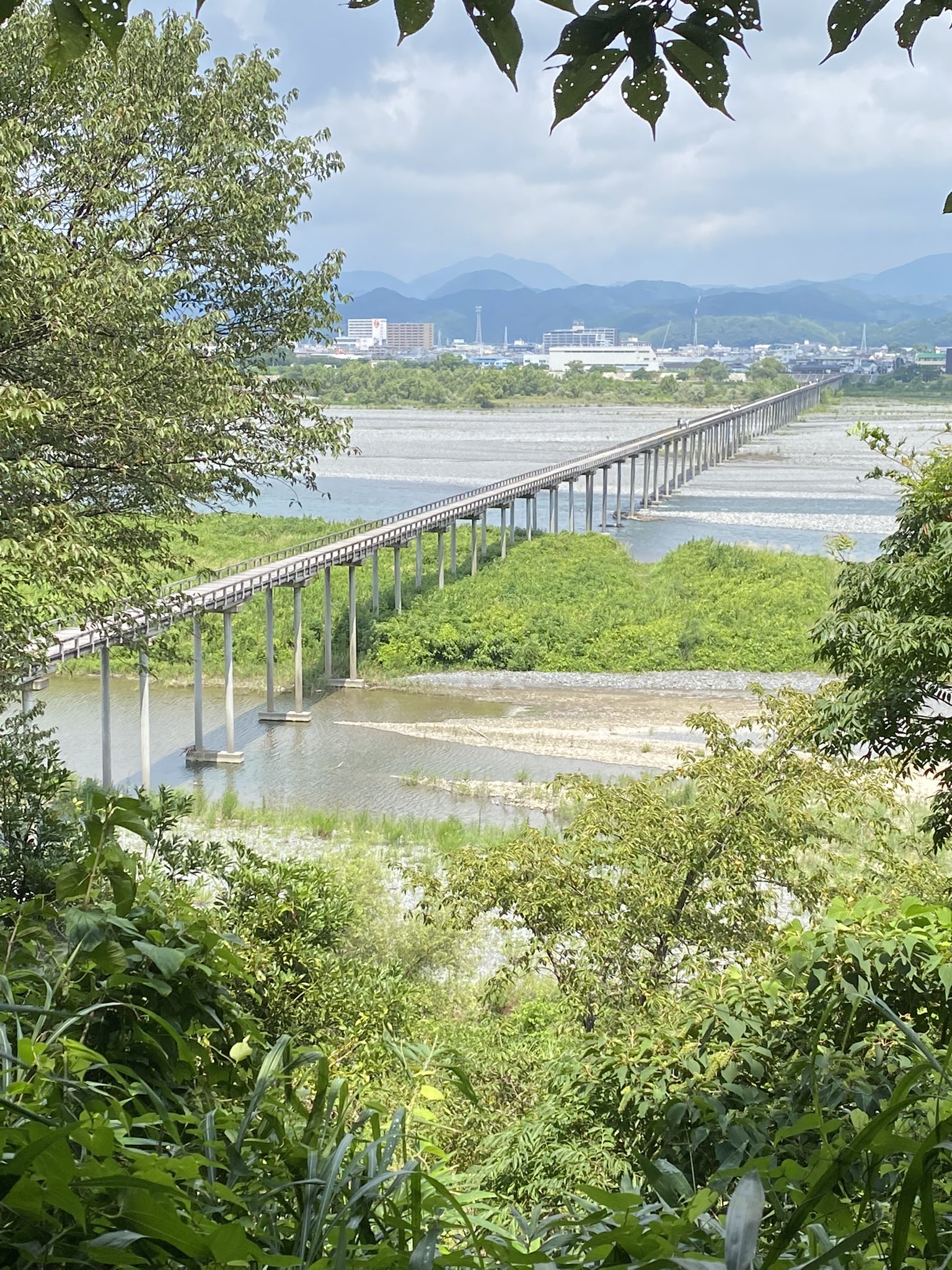 ねこさんぽ Koppunmaak おぉ 蓬莱橋 朝ドラのロケ地にもなりましたよね 静岡に住んでいたのでその景色に憧れて行きましたが 横の柵が低すぎて 高所恐怖症気味の私はかがみながら橋の真ん中を必死に歩きました Twitter