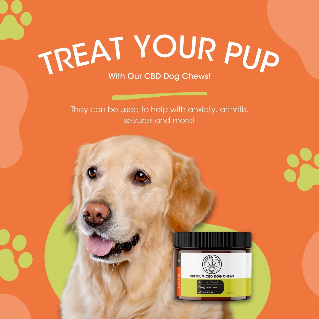 Give your dog friend the benefits of phytocannabinoid-rich hemp oil! Our beef-flavored CBD Dog Treats are made with water-soluble CBD powder and other high quality ingredients, in a tasty, dog-approved chew. CBD can contribute to your pet feeling relaxed, happy, and healthy when