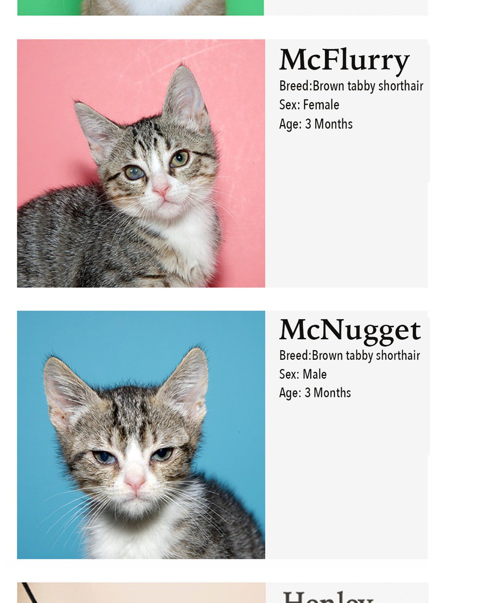 McDonald's tweet media