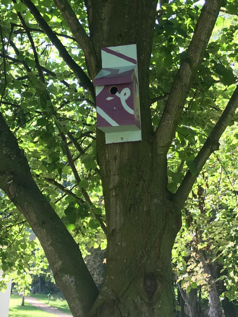 laurabsmyth's tweet photo. Bird boxes decorated by patients on Austen Ward recently hung up around Hollins Park Hospital 😍😍. Organised by one of the activity coordinators. Can you spot any when walking around? #mentalhealth#OT#activities#austenward @AustenActivity @AndreaCox2022 @Mersey_Care https://t.co/CQDVAD9O9j