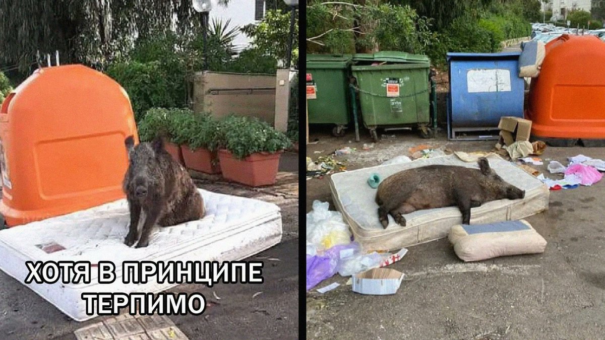 Я на работе: Приду домой, обязательно наведу порядок, постираю, есть приготовлю 
Я дома: