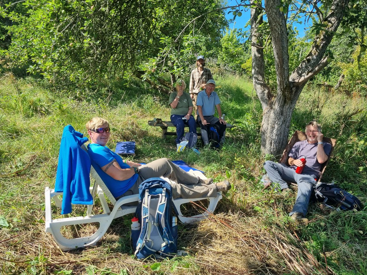 BFTWildlife's tweet photo. #Volunteers worked hard today pruning and weeding the apple trees at #Crailing #orchard https://t.co/dhVPCTVokK