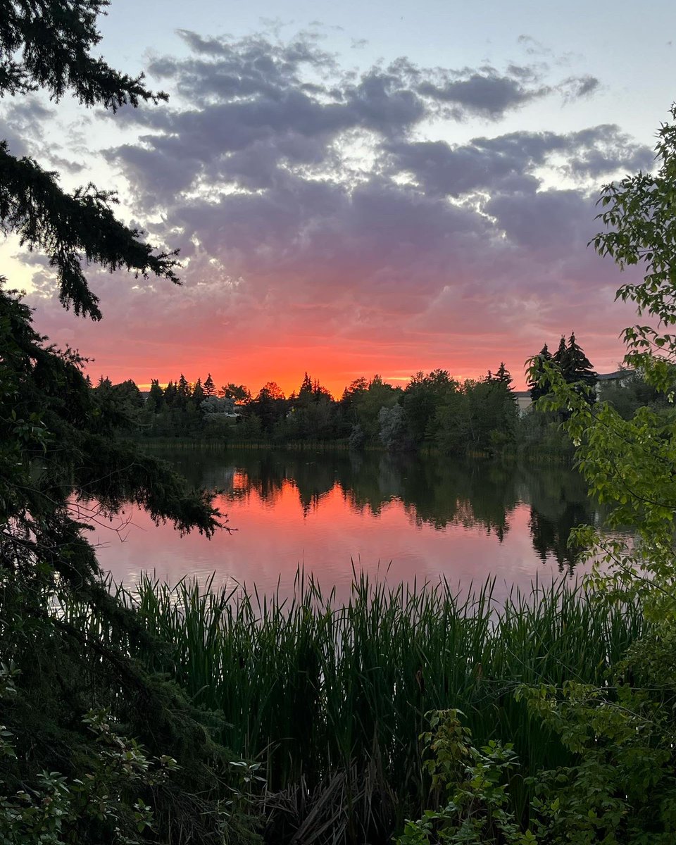 Leesila's tweet photo. Sunday night #yegsunset https://t.co/ne9g3H6vbk