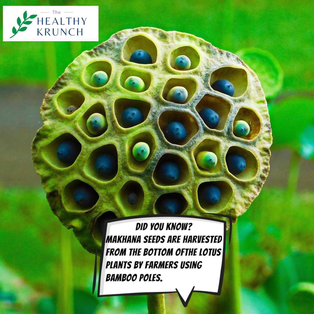 Anandfilotimo's tweet photo. are you looking to be distributor , superstockist  of Fmcg products.
we are dealing in  superfoods 
contact 8252118900
https://t.co/hUhCIlMeqT 
thehealthykrunch@gmail.com 
#makhana #flavoured #snacks  #guiltfreesnacks #enterprenuer #business #sellingcontent https://t.co/Uaf3Vzt1M7