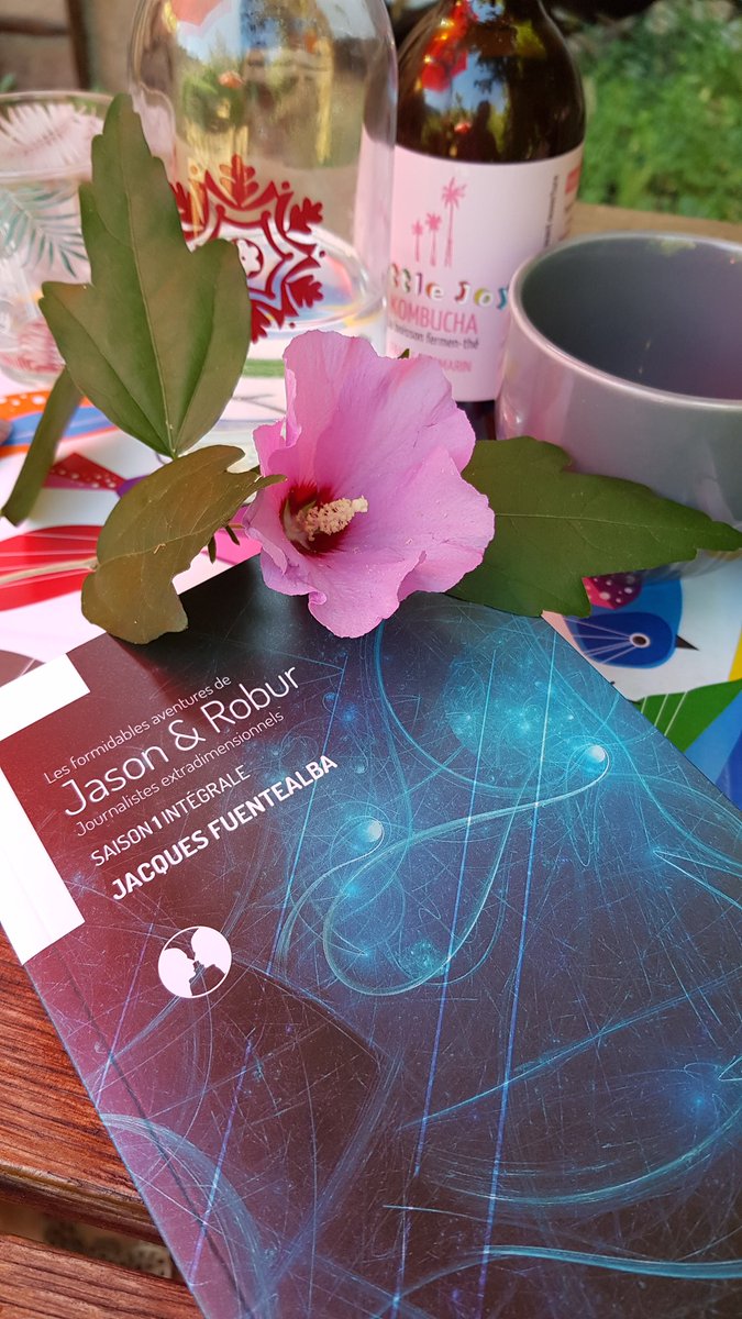 GephyreEditions's tweet photo. Un air de vacances... en relisant @OuroborosEBE #JasonetRobur #multivers #sfff ... n'oubliez pas notre #gephyrestival #concoursphoto #concoursgephyre  sur Insta! https://t.co/p6NfPErLPy
