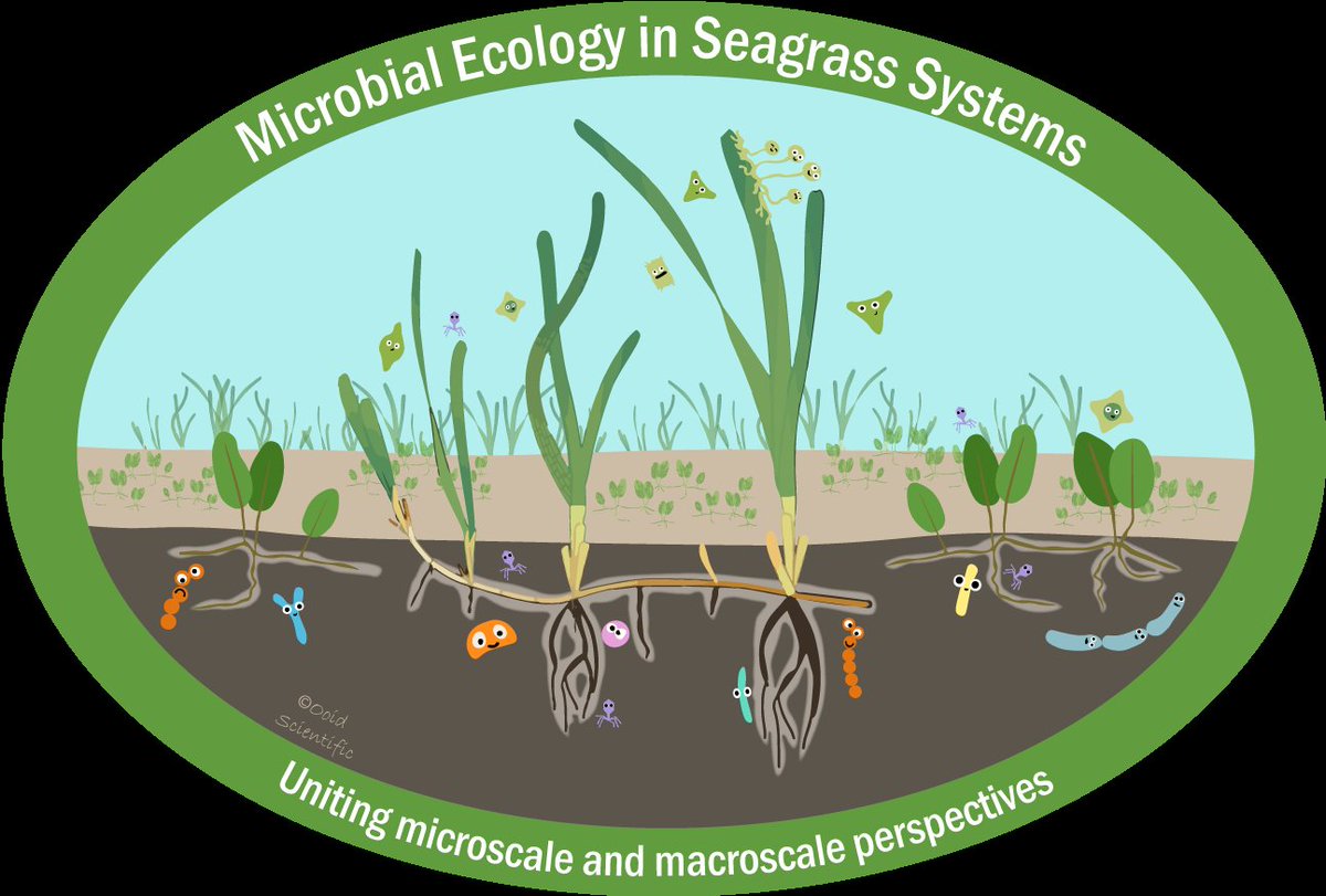 The #microbes have arrived 🦠🦠.
See you all @ 4pm in salon C #isbw14