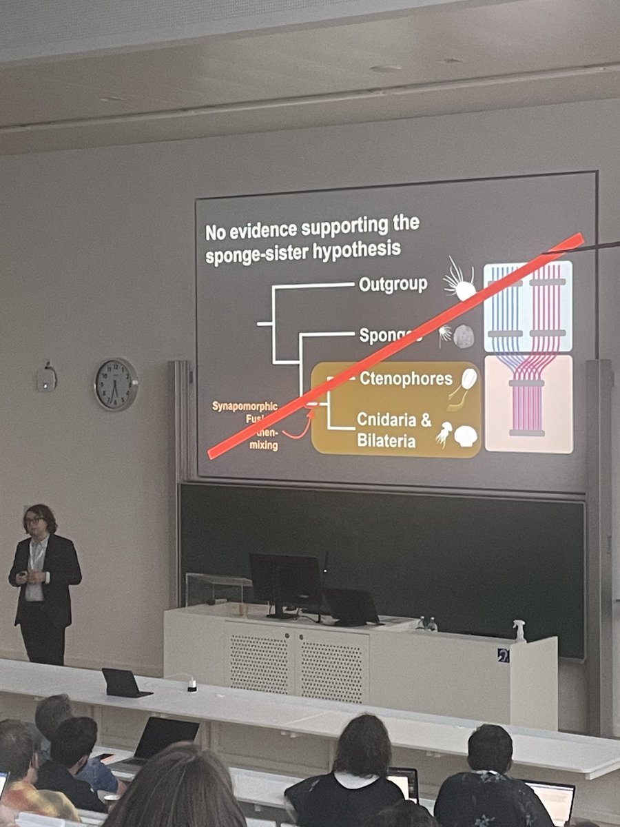 faguilgen's tweet photo. Darrin Schultz uses chromosome-scale genomes, gene linkages, and fusion-mixing chromosome events to test the sponge/ctenophore first animal hypothesis. With this new approach, ctenophore-sister hypothesis wins 😱😱. #icim5 ⁦@5Icim⁩ https://t.co/oNm4mFdZOg