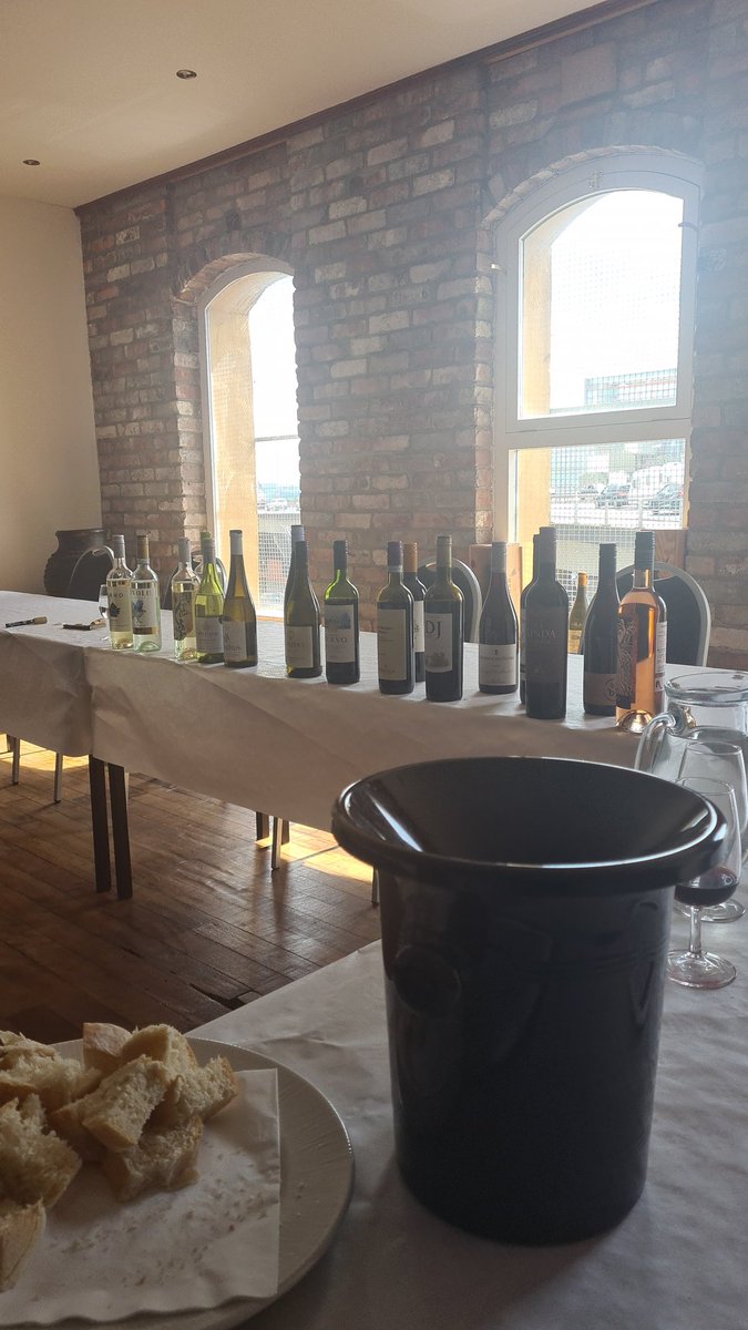 The Teal Monkey tweet media