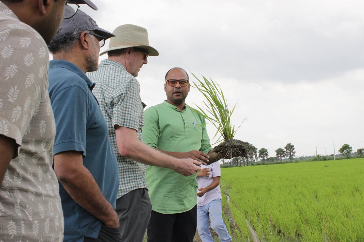 Prabhu Pingali (@prabhupingali) on Twitter photo <a href="/TataCornell/">Tata-Cornell Institute</a> team in Bihar studying options for zero hunger zero carbon food systems. <a href="/HMvanes/">Harold van Es</a> <a href="/CIMMYT/">CIMMYT</a> <a href="/CornellCALS/">Cornell CALS</a> <a href="/CornellGlobal/">Cornell Global Development</a> <a href="/TataCornell/">Tata-Cornell Institute</a> team in Bihar studying options for zero hunger zero carbon food systems. <a href="/HMvanes/">Harold van Es</a> <a href="/CIMMYT/">CIMMYT</a> <a href="/CornellCALS/">Cornell CALS</a> <a href="/CornellGlobal/">Cornell Global Development</a>