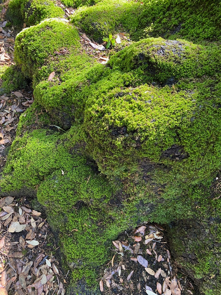 e-flux Education tweet media