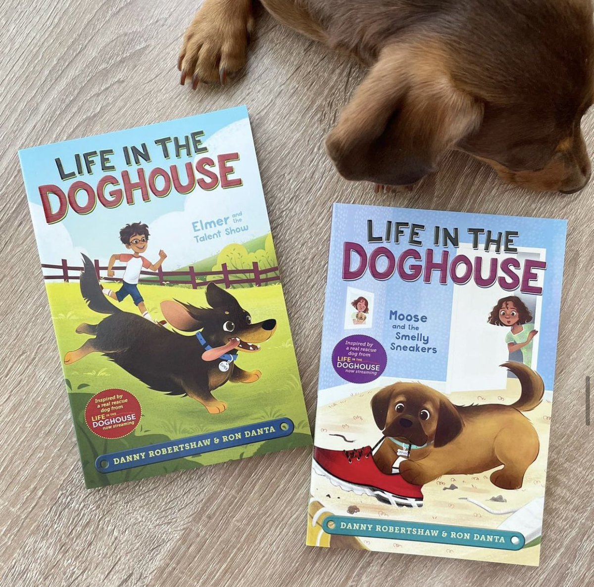 shannonassoc's tweet photo. Life in the Doghouse illustrated by Laura Cateinella https://t.co/viJpdabDMx