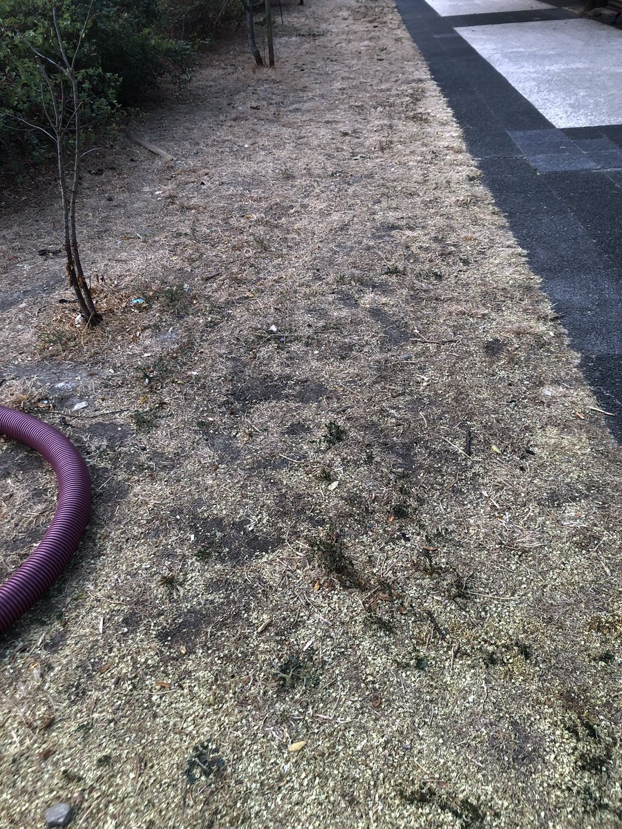 d_ilekizkur's tweet photo. La Green Capital (Vitoria-Gasteiz) se cae a cachos por la falta de cuidado: arboles enfermos, jardines “quemados”, parques para juegos infantiles destrozados por acciones incívicas a las k no da solución el @vitoriagasteiz con su especialista en destrozos @gorka__urtaran etc https://t.co/X6eJy1K8SR