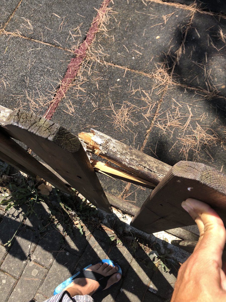 d_ilekizkur's tweet photo. La Green Capital (Vitoria-Gasteiz) se cae a cachos por la falta de cuidado: arboles enfermos, jardines “quemados”, parques para juegos infantiles destrozados por acciones incívicas a las k no da solución el @vitoriagasteiz con su especialista en destrozos @gorka__urtaran etc https://t.co/X6eJy1K8SR