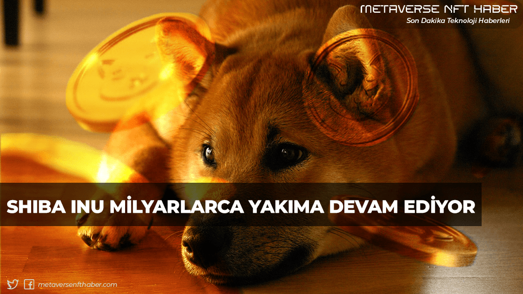 metanfthaber's tweet photo. SHIBA INU MİLYARLARCA YAKIMA DEVAM EDİYOR!
Ayrıntılar -> https://t.co/f96b94Ks5t https://t.co/LIGI3k76td