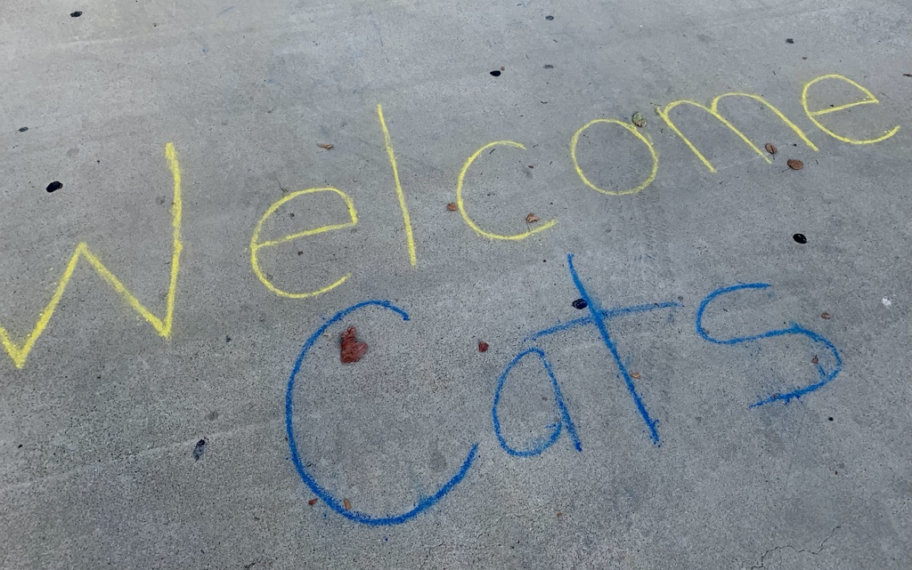 Very proud of our ASB students and all the TUHSD staff who are working hard to make Orientation week a wonderful return for our students! #BestofPlaces