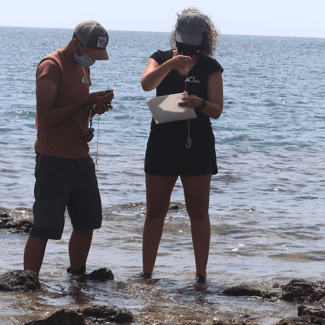 cima_sl's tweet photo. En estos últimos 3 años estuvimos haciendo una serie de estudios medioambientales del ámbito marino 🤓 

Como fase previa para determinar: https://t.co/aUmqGkEI1O