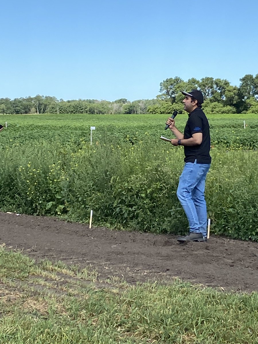 SpudSmartMag's tweet photo. @Haider_Carberry speaks about the mustard biofumigation plots. Haider and Zack actually spoke about their work on this at #SpudCon here is a link to the story and recording https://t.co/aaIxI6Mrp8 https://t.co/bVVJ0ZE5Vi