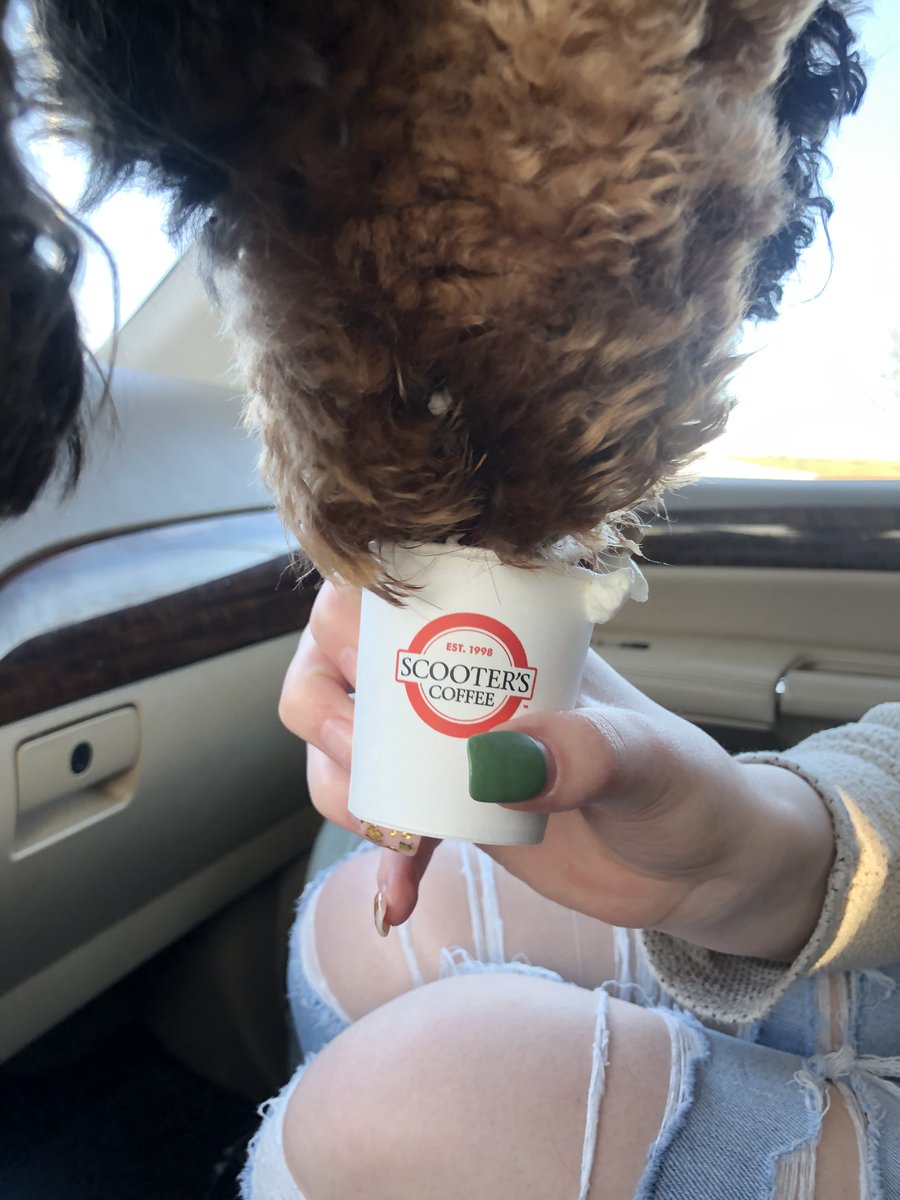 LuckyL3337's tweet image. @scooterscoffee #JustSomething We totally deserve Scooters for a year.  After all, we seriously can't even function without it!