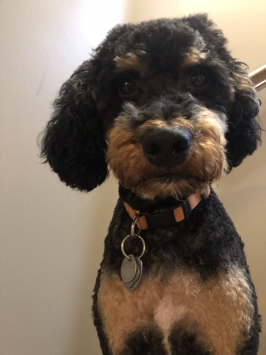 LuckyL3337's tweet image. @scooterscoffee #JustSomething We totally deserve Scooters for a year.  After all, we seriously can't even function without it!