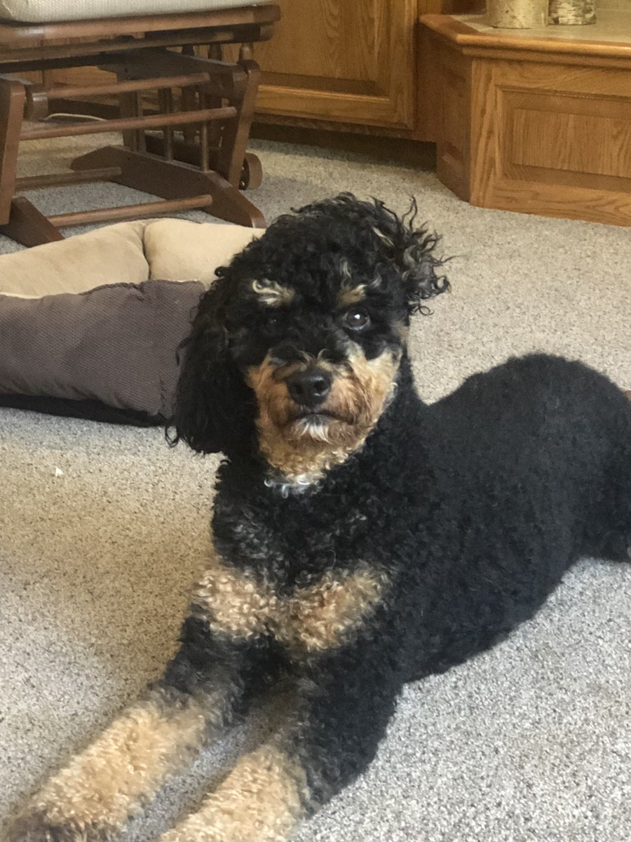 LuckyL3337's tweet image. @scooterscoffee #JustSomething We totally deserve Scooters for a year.  After all, we seriously can't even function without it!