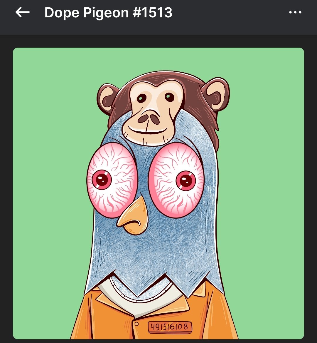 BongHit | WAGG 🌱 tweet media