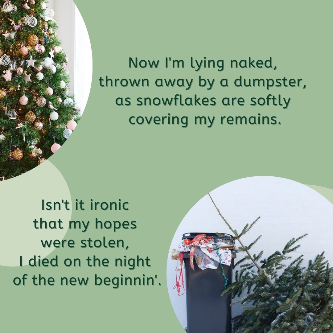 NikolaStam's tweet photo. According to the National Christmas Tree Association, "It can take as many as 15 years to grow a tree of typical height (6-7 feet) or as little as 4 years, but the average growing time is 7 years."
#Together4Forests https://t.co/0oLlGWZEUH